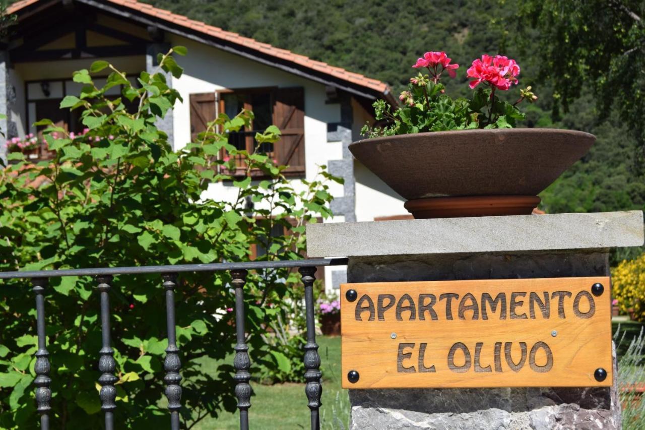 Excepcional Apartamento El Olivo 오헤도 외부 사진